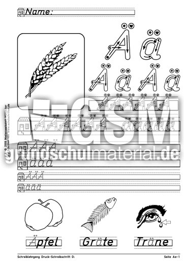 Schreiblehrgang D Ae-1.pdf